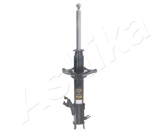 Amort ASHIKA MA-10009