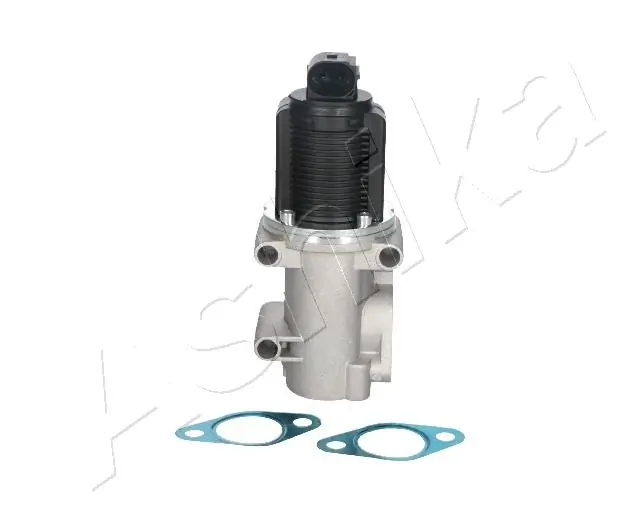 EGR-klapp ASHIKA 150-00-0203