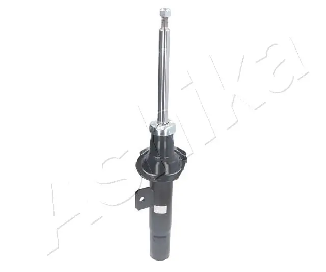 Amort ASHIKA MA-00378