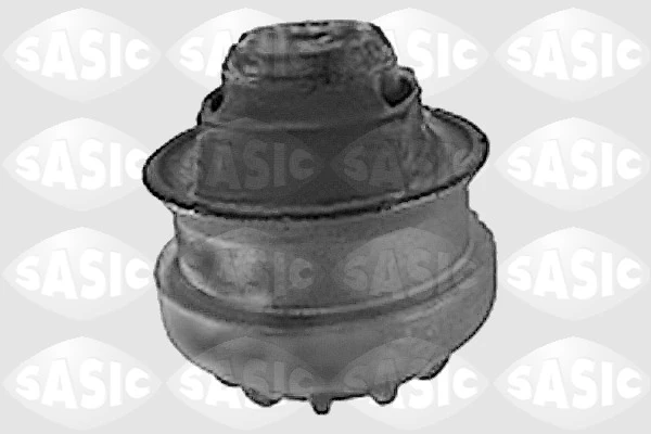 Paigutus, Mootor SASIC 9001629