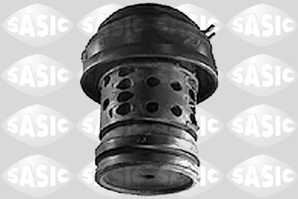 Paigutus, Mootor SASIC 9001366
