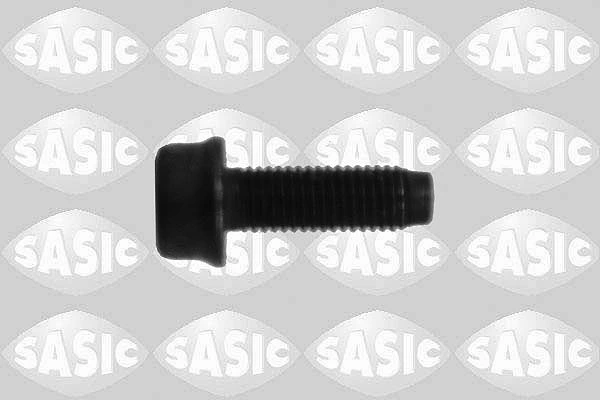 Kate, sidurikorpus SASIC 9136226