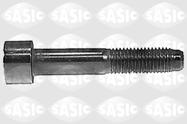 Kate, sidurikorpus SASIC 9136616