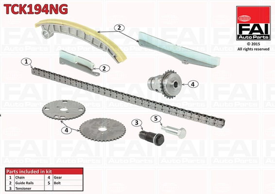 Mootori keti komplekt FAI AutoParts TCK194NG