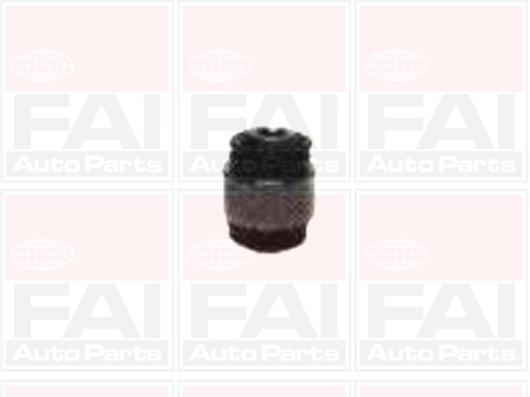Puks FAI AutoParts SS4575