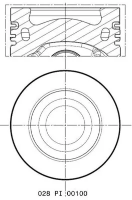 Kolvid MAHLE 028 PI 00100 002