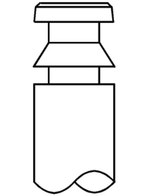 Väljalaskeventiil MAHLE 061 VA 30987 000
