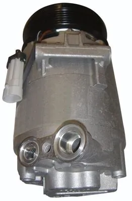 Kompressor, kliimaseade MAHLE ACP 24 000P