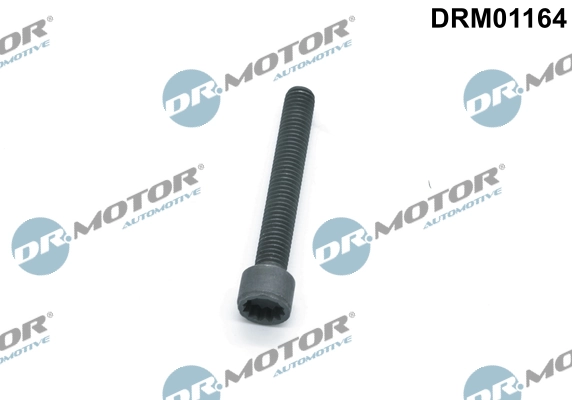 LIZARTE DRM01164