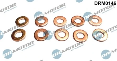 LIZARTE DRM0146