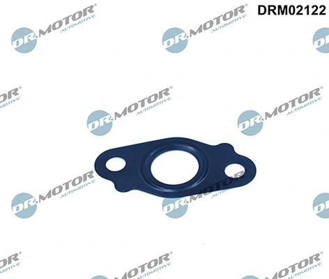 LIZARTE DRM02122