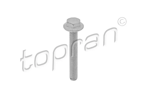 Kruvi TOPRAN 115 806