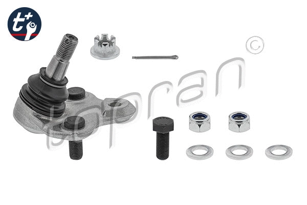 Kande-/juhtliigend t+ TOPRAN 600 583