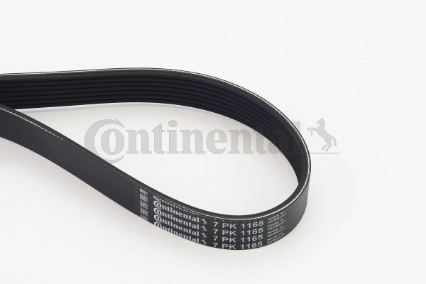 Soonrihm CONTINENTAL CTAM 7PK1165