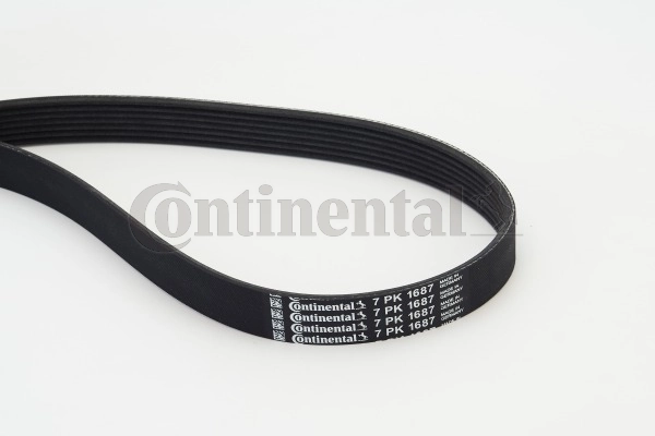 Soonrihm CONTINENTAL CTAM 7PK1687