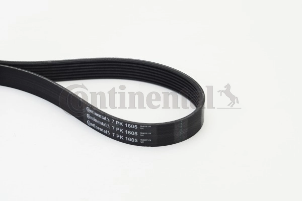 Soonrihm CONTINENTAL CTAM 7PK1605