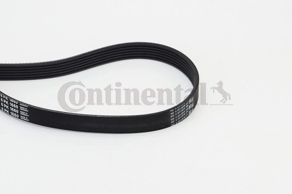 Soonrihm CONTINENTAL CTAM 6PK1660