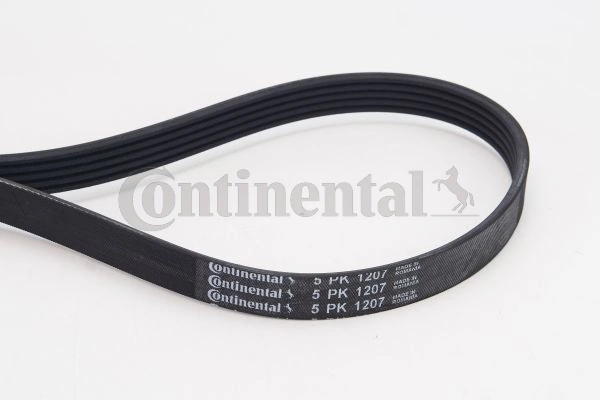 Soonrihm CONTINENTAL CTAM 5PK1207