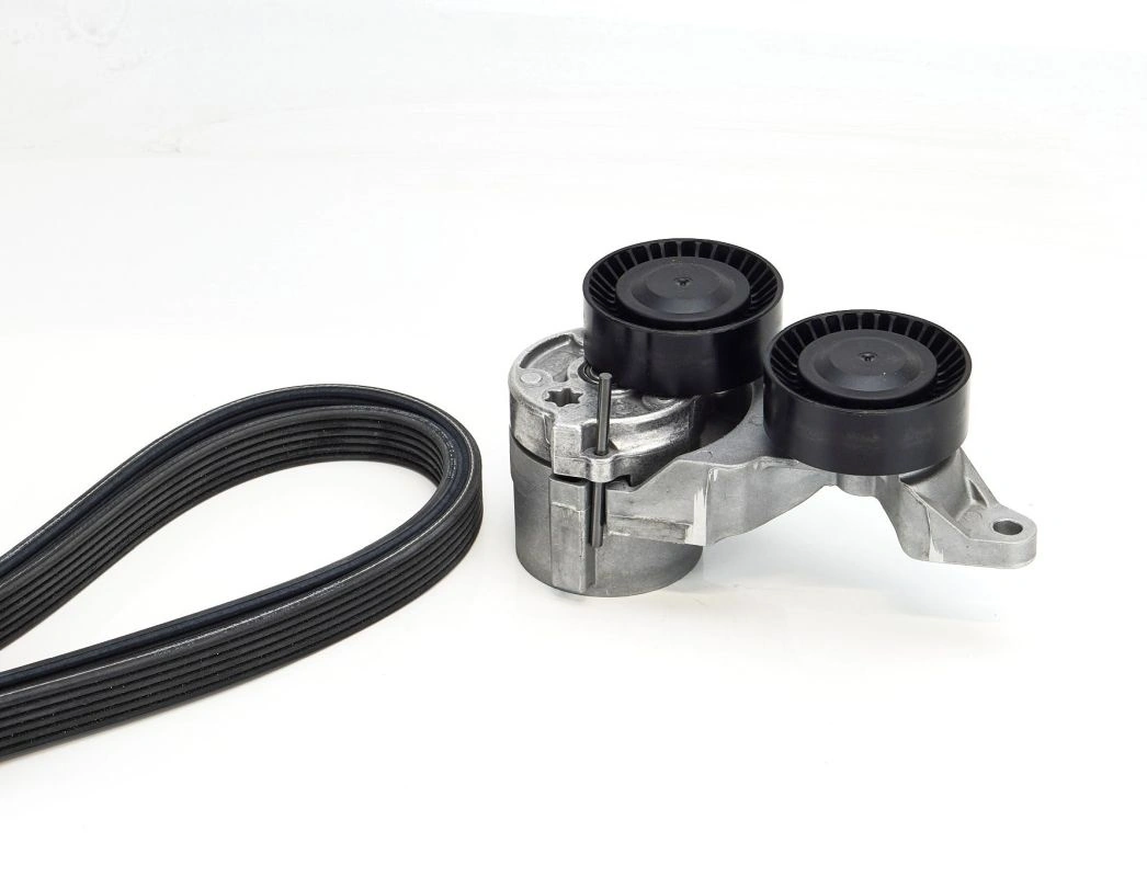 Soonrihmakomplekt CONTINENTAL CTAM 6DPK1825K2