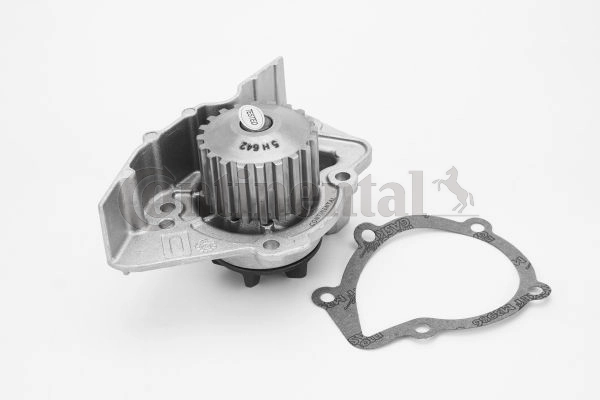 Veepump, mootori jahutus CONTINENTAL CTAM WP6121