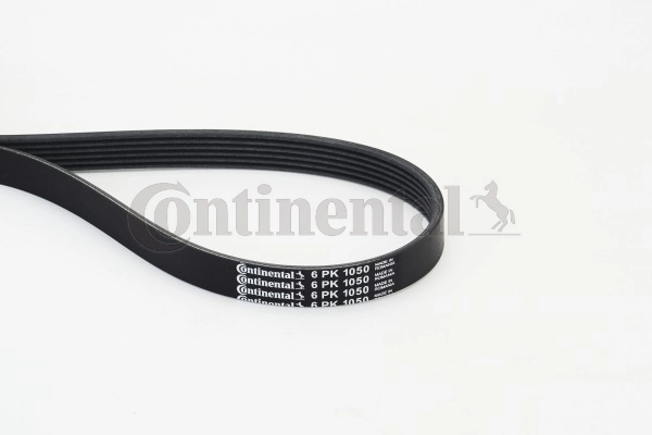 Soonrihm CONTINENTAL CTAM 6PK1050