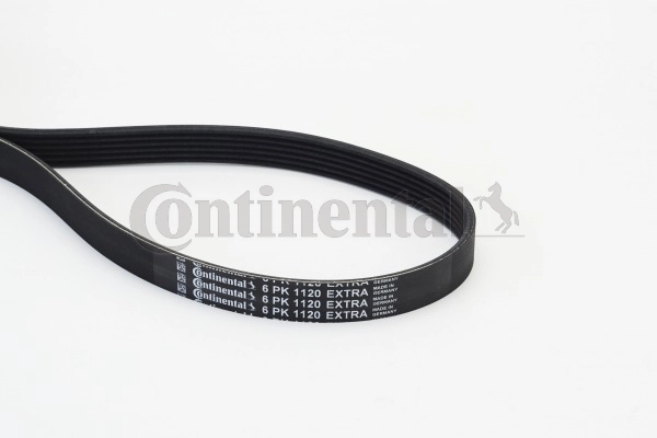 Soonrihm CONTINENTAL CTAM 6PK1120 EXTRA