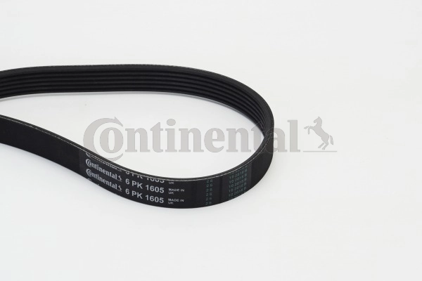 Soonrihm CONTINENTAL CTAM 6PK1605