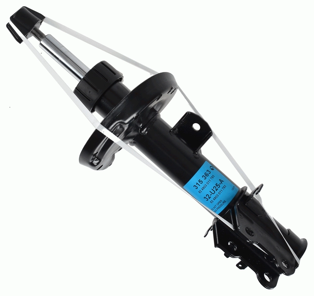 Amort SACHS 315 363
