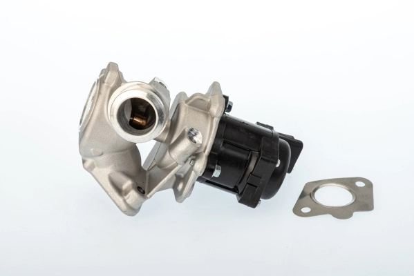 EGR-klapp BorgWarner 711020D