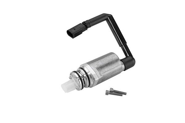 Pump, lamellsidur (neljarattavedu) BorgWarner DS118574