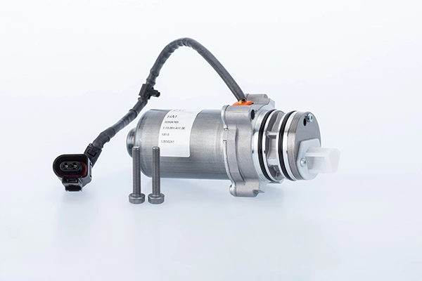 Pump, lamellsidur (neljarattavedu) BorgWarner DS2010677