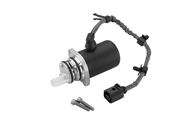 Pump, lamellsidur (neljarattavedu) BorgWarner DS118613