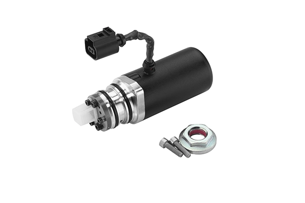 Pump, lamellsidur (neljarattavedu) BorgWarner DS118589
