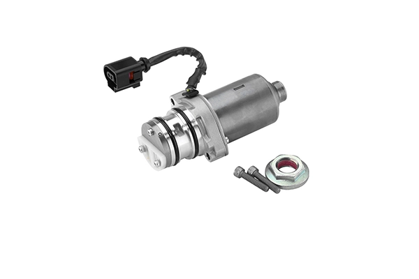 Pump, lamellsidur (neljarattavedu) BorgWarner DS119863