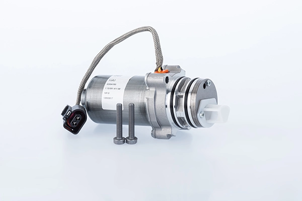 Pump, lamellsidur (neljarattavedu) BorgWarner DS2010676