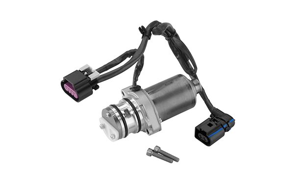Pump, lamellsidur (neljarattavedu) BorgWarner DS2004444