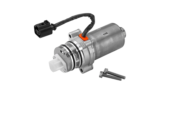 Pump, lamellsidur (neljarattavedu) BorgWarner DS2002774