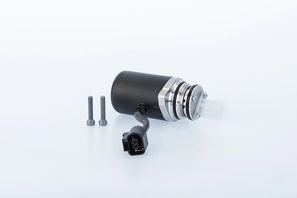Pump, lamellsidur (neljarattavedu) BorgWarner DS2010679
