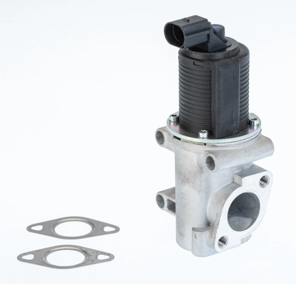 EGR-klapp BorgWarner 710774D