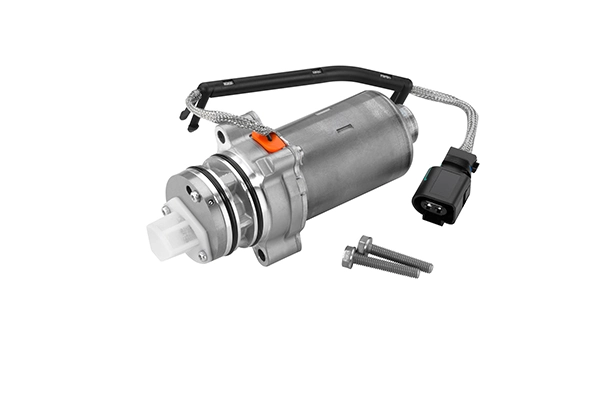 Pump, lamellsidur (neljarattavedu) BorgWarner DS2002773