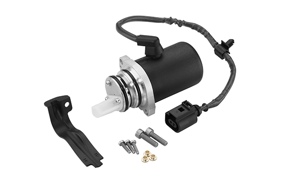 Pump, lamellsidur (neljarattavedu) BorgWarner DS118622