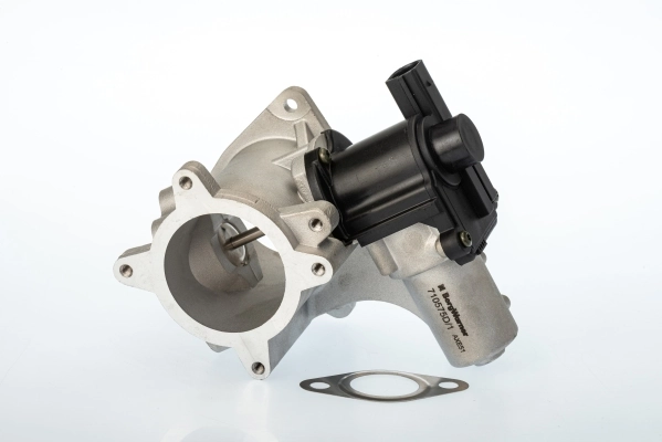 EGR-klapp BorgWarner 710575D