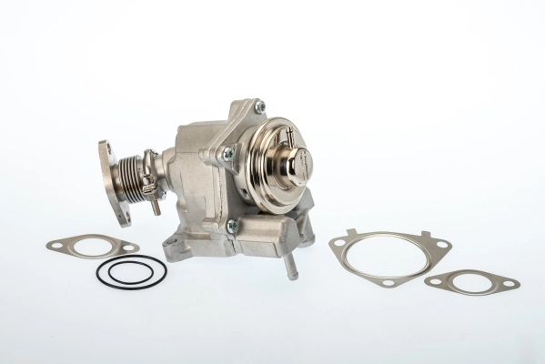 EGR-klapp BorgWarner 7631D