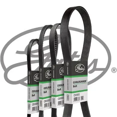 Kiilrihmad GATES CB0039