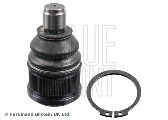 Kande-/juhtliigend BLUE PRINT ADM58604