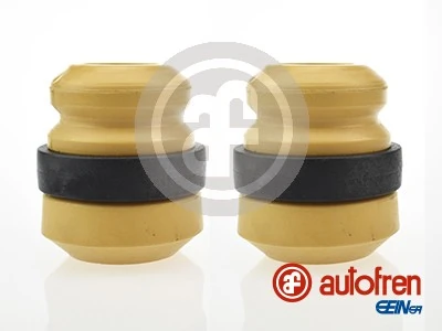 Tolmukaitse komplekt, Amordid AUTOFREN SEINSA D5040