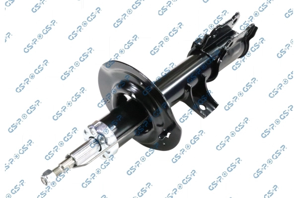 Amort GSP 32339622