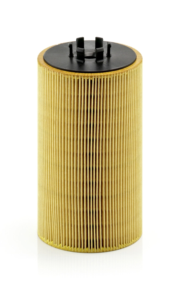 Õlifilter MANN-FILTER HU 13 125 x