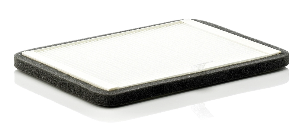 Filter, salongiõhk MANN-FILTER CUK 2424