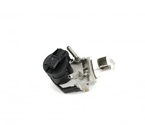 NPS B564W02